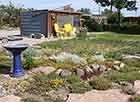 Ground Covers & Native Grass