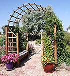 Geranium, Nasturtiums, & Thunbergia with Trellis Bench