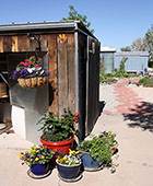 Potted Flowers by Woodshed