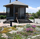 Low Garden in Front of Gazebo