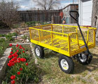 Red Tulips and New Yellow Wagon