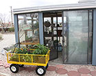 Yellow Wagon & Greenhouse