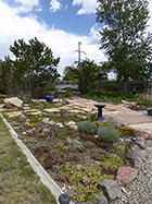 Dry Rock Garden