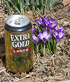 Crocus & Yard Beer