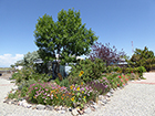 Garden by Outdoor Greenhouse