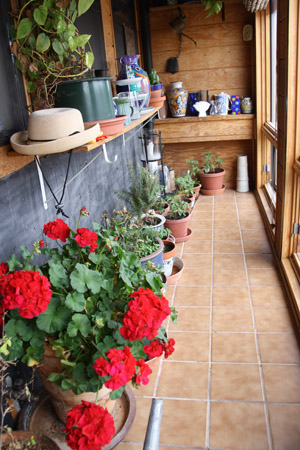 indoor greenhouse